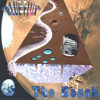 Blue Flux : The Beach