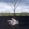 BLUE ROSE LIAR: Sycamore