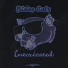 THE BLUES CATS: Intoxicated....again