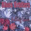 BLUES ORBITERS: Falling Leaves