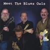 THE BLUES OWLS: Meet The Blues Owls
