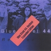 BLUE STEEL 44: Recluse: Expanded Edition
