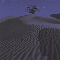 Blue Tree : Beautiful Shadow