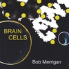 BOB MERRIGAN: Brain Cells