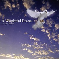 BOBBY WHITE: A Wonderful Dream