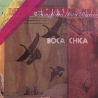 Cover Album