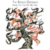 THE BODIES OBTAINED: From The Top Of My Tree