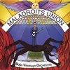 Bogs Visionary Orchestra: Maladroits Union