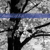 REBECCA L. BOLAM AND THE ISSUES: Branches of Life