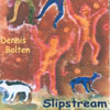 DENNIS BOLTEN: Slipstream
