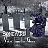 Boneyard: Voices from the Grave