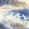 JOE BONGIORNO: Destined - solo piano