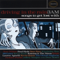 Various Artists : Driving in The Rain 3 AM (Songs To get Lost With)