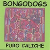 THE BONGODOGS: Puro Caliche