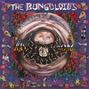 THE BONGOLOIDS: The Anaesthetic Revelation of Ray Bong