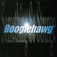 Boogiehawg : Something So Strange