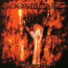 BOOMSLANG: A Constant Struggle