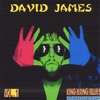 DAVID JAMES: King Kong Blues/The Return of Rock N Roll Vol. 1