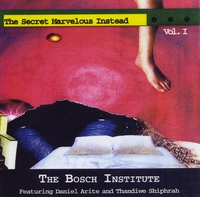 The Bosch Institute : The Secret Marvelous Instead vol 1