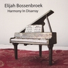 ELIJAH BOSSENBROEK: Harmony In Disarray
