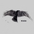 JUSTIN BOSS: Munin