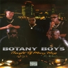 BOTANY BOYZ: Thought Of Many Ways