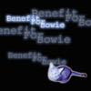 THE PET-OWNER RESCUE FOUNDATION OF CHICAGO: Benefit for Bowie