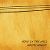 Boys In the Well: Mostly Honest