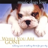 BRADLEY JOSEPH: Music Dogs Love: While You Are Gone