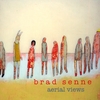 BRAD SENNE: Aerial Views