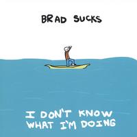 BRAD SUCKS: I Don't Know What I'm Doing
