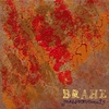 BRAHE: Mass Movement
