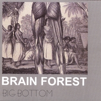 Brain Forest : Big Bottom