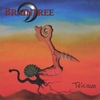 BRAINTREE: Tsicavo