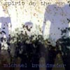 MICHAEL BRANDMEIER: Spirit On The Run