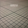 BRANDON TYLER: Something About Dreams