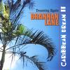BRANNAN LANE: Caribbean Dream II, Dreaming Again (world music)