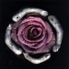BRANT LYON & FRIENDS: Beauty Keeps Laying Its Sharp Knife Against Me