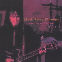 BLACK RIVER BLUESMAN AND THE COCKROACH COMBO: Ants in my Kitchen