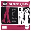 THE BREEZE KINGS: You Got To Bring Some To Get Some