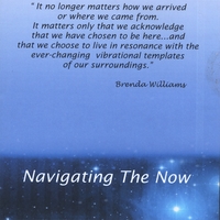 Brenda Williams : Navigating The Now - The Experience