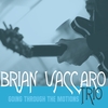 Brian Vaccaro Trio: Going Through the Motions