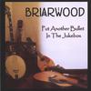 Briarwood on CDBaby