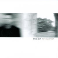 Brick Skin : Nothing Street