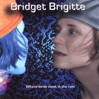 BRIDGET BRIGITTE: Where Birds Meet in the Rain