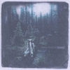 BRIGHTWOOD: Wake