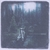 BRIGHTWOOD: Wake