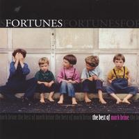 Mark Brine : Fortunes: the Best of Mark Brine