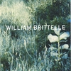 WILLIAM BRITTELLE: palisades