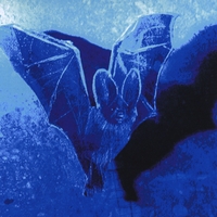 Broken Ohms : Nocturnal Emissions